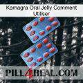Kamagra Oral Jelly How To Use 05